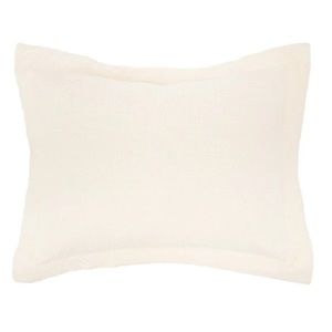 2 / Elizabeth York Delfina Standard Sham in Ivory